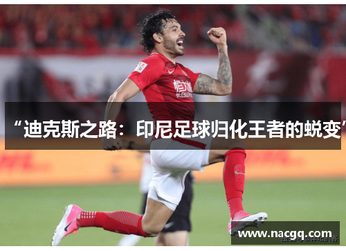 “迪克斯之路:印尼足球归化王者的蜕变”